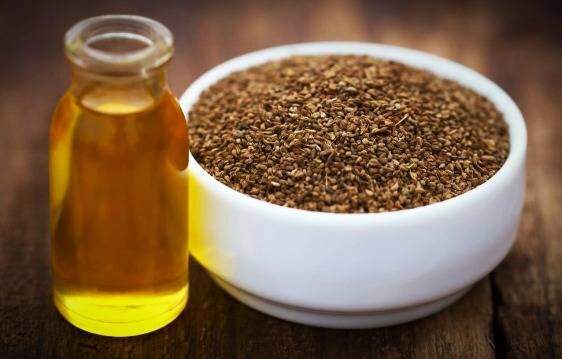 یک گیاه همه فن حریف کویری +عکس یک گیاه همه فن حریف کویری +عکس