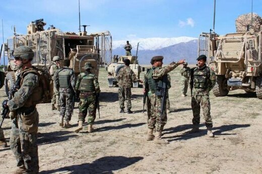 سرکرده طالبان کشته شد سرکرده طالبان کشته شد