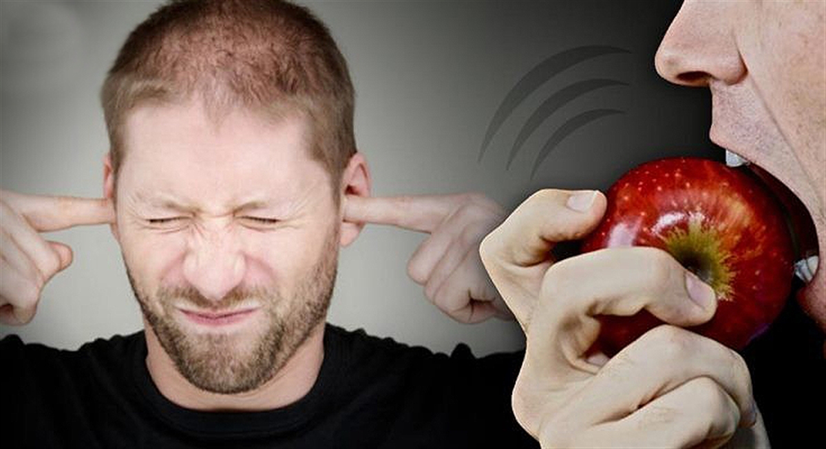 چرا صدای غذا خوردن دیگران آزار دهنده است؟ چرا صدای غذا خوردن دیگران آزار دهنده است؟
