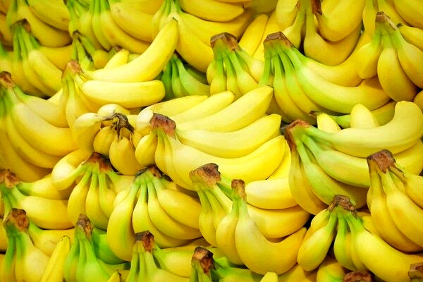 مجوز ترخیص موزهای وارداتی مانده در گمرک صادر شد مجوز ترخیص موزهای وارداتی مانده در گمرک صادر شد