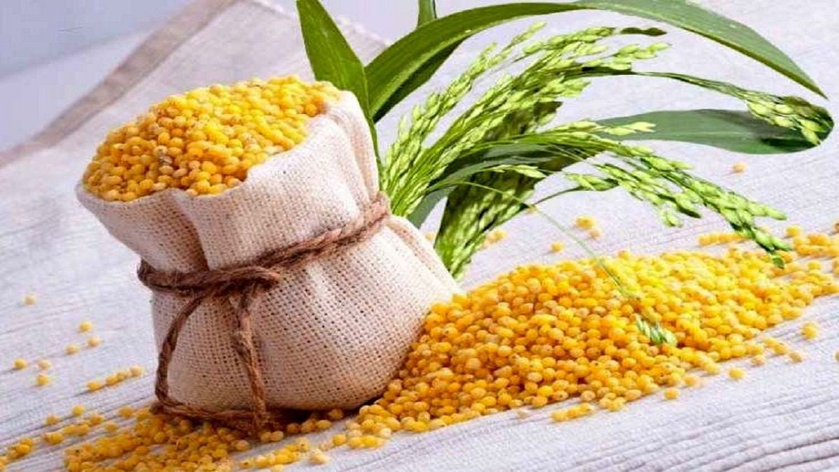 دانه پرفایده برای دیابتی ها! + عکس دانه پرفایده برای دیابتی ها! + عکس