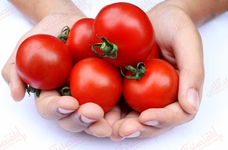 ۱۸ فایده شگفت انگیز گوجه فرنگی! ۱۸ فایده شگفت انگیز گوجه فرنگی!