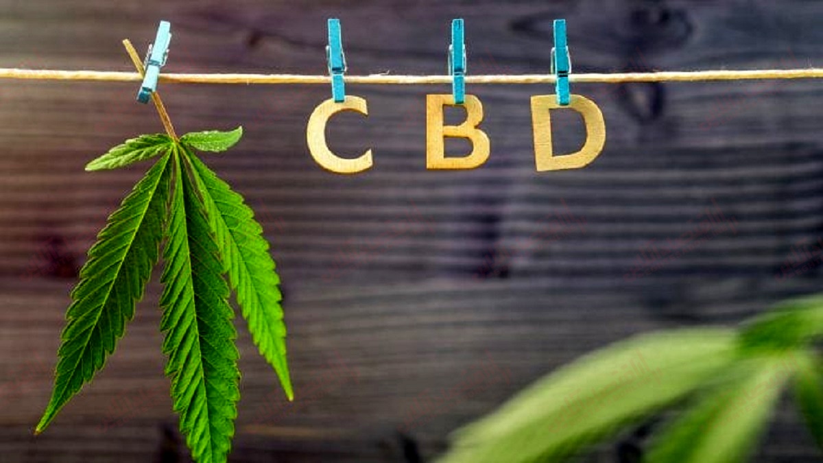 روغن کانابیدیول (CBD) برای پارکینسون روغن کانابیدیول (CBD) برای پارکینسون