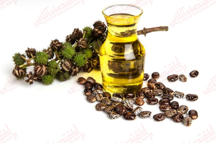 همه خواص « روغن کرچک » همه خواص « روغن کرچک »