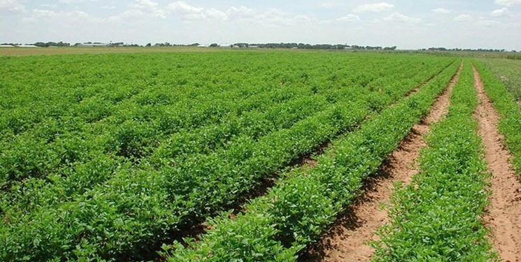 راهکار دانشمندان برای کمبود آب در جهان راهکار دانشمندان برای کمبود آب در جهان