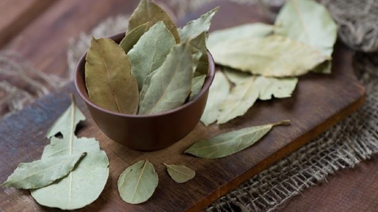 معجزه برگ بو معجزه برگ بو