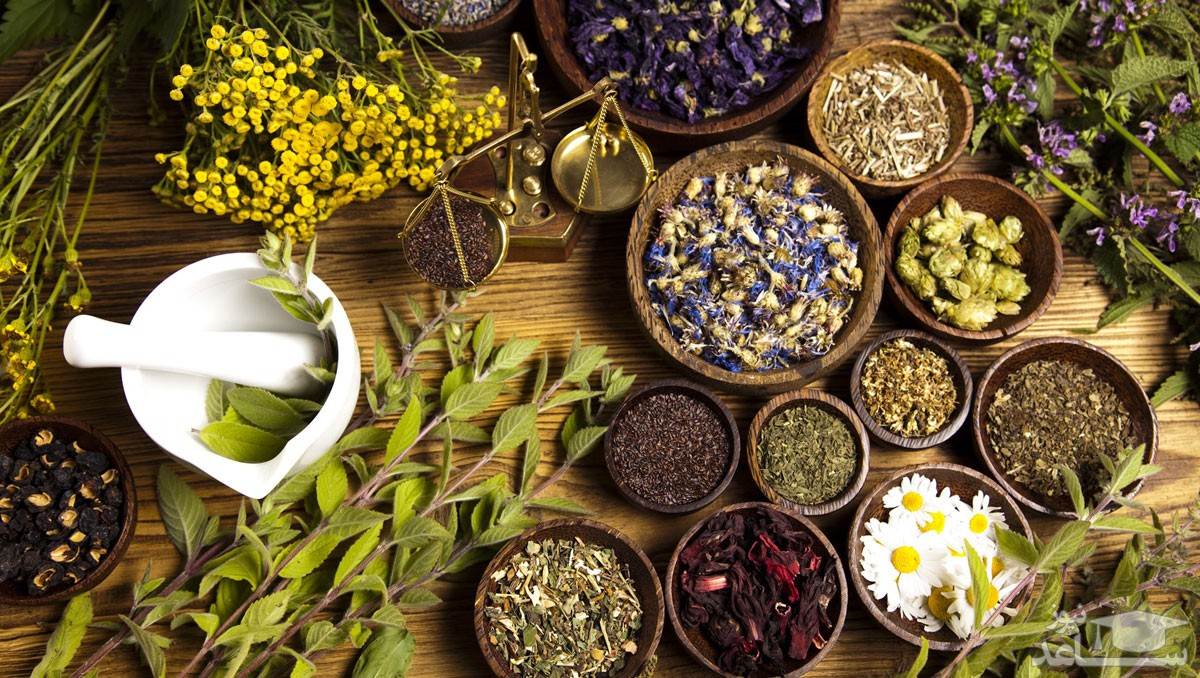 معجزه این ادویه ها در تقویت حافظه معجزه این ادویه ها در تقویت حافظه