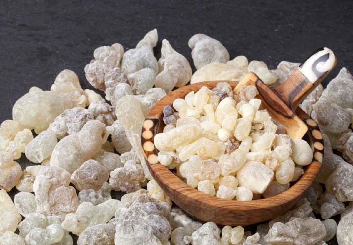 مزایای بی نظیر مزایای بی نظیر