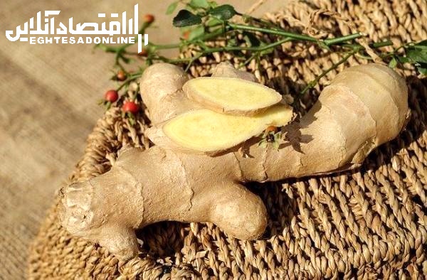 مصرف زنجبیل در دوران بارداری خطرناک است؟ مصرف زنجبیل در دوران بارداری خطرناک است؟