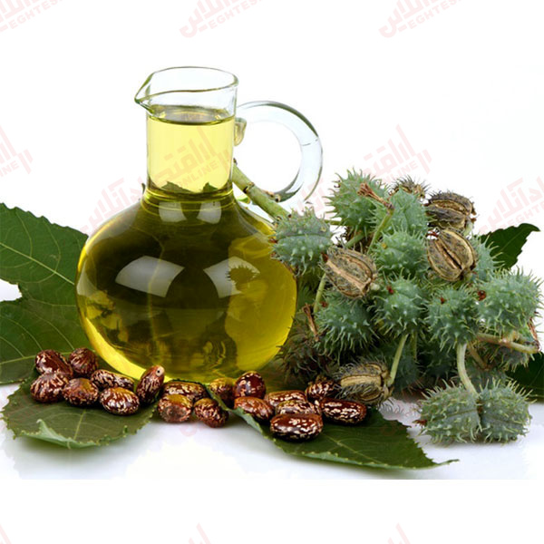 ۹ خاصیت روغن اکالیپتوس که از آن بی خبرید ۹ خاصیت روغن اکالیپتوس که از آن بی خبرید