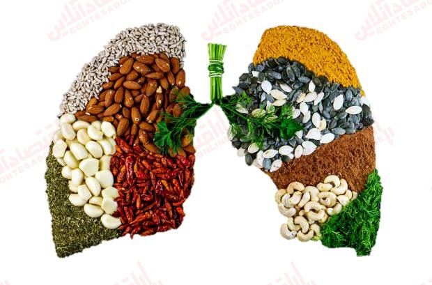 ۹ ماده غذایی مفید برای ریه ها ۹ ماده غذایی مفید برای ریه ها