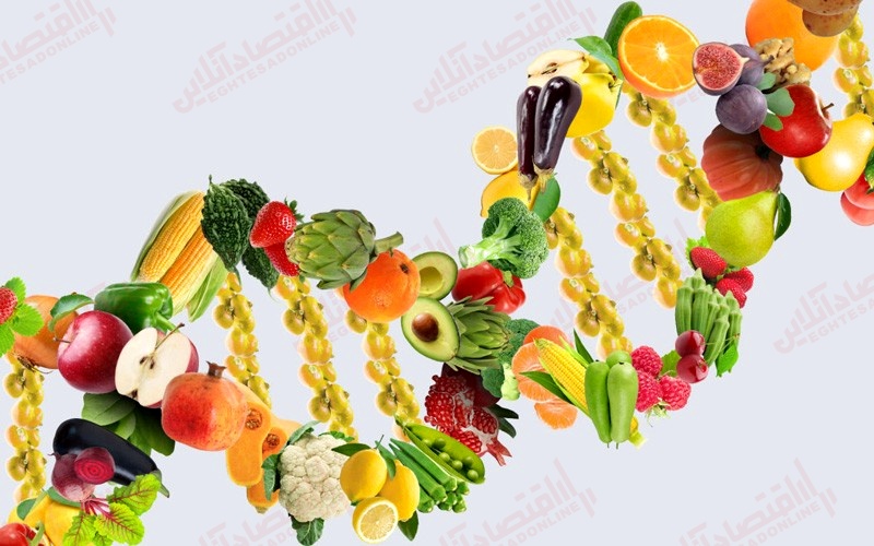 ۱۳ غذایی که باعث کاهش خطر ابتلا به سرطان می شوند ۱۳ غذایی که باعث کاهش خطر ابتلا به سرطان می شوند