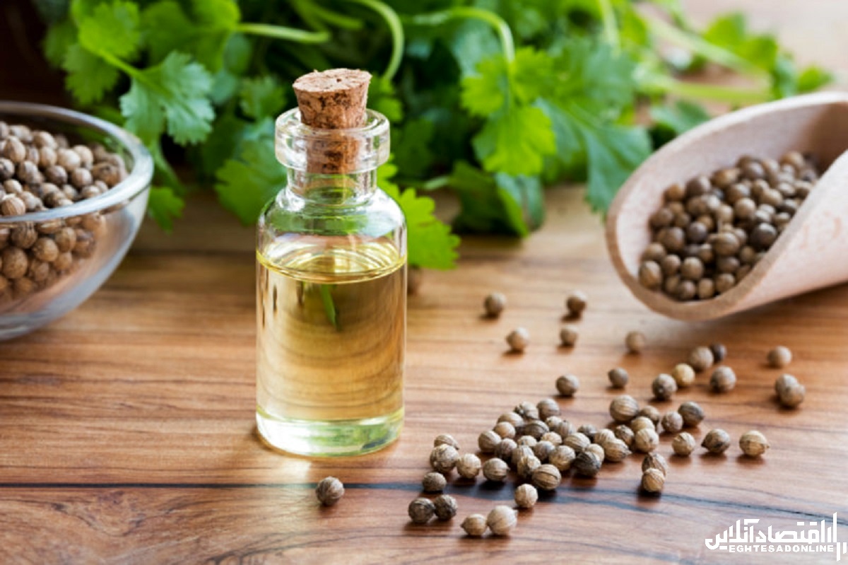 آیا گشنیز می تواند به کاهش وزن کمک کند؟ آیا گشنیز می تواند به کاهش وزن کمک کند؟