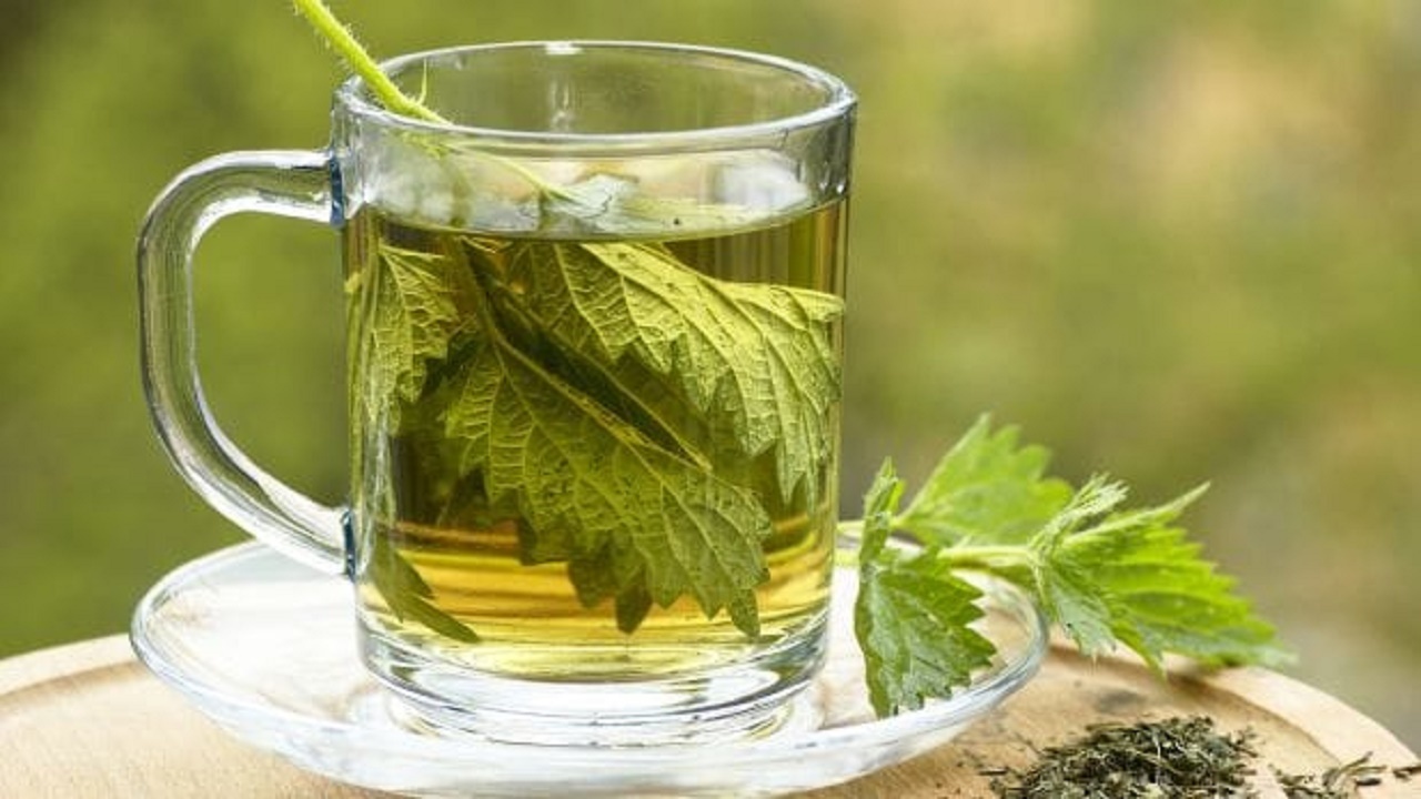 معجزه سم زدایی بدن با یک نوشیدنی گیاهی معجزه سم زدایی بدن با یک نوشیدنی گیاهی