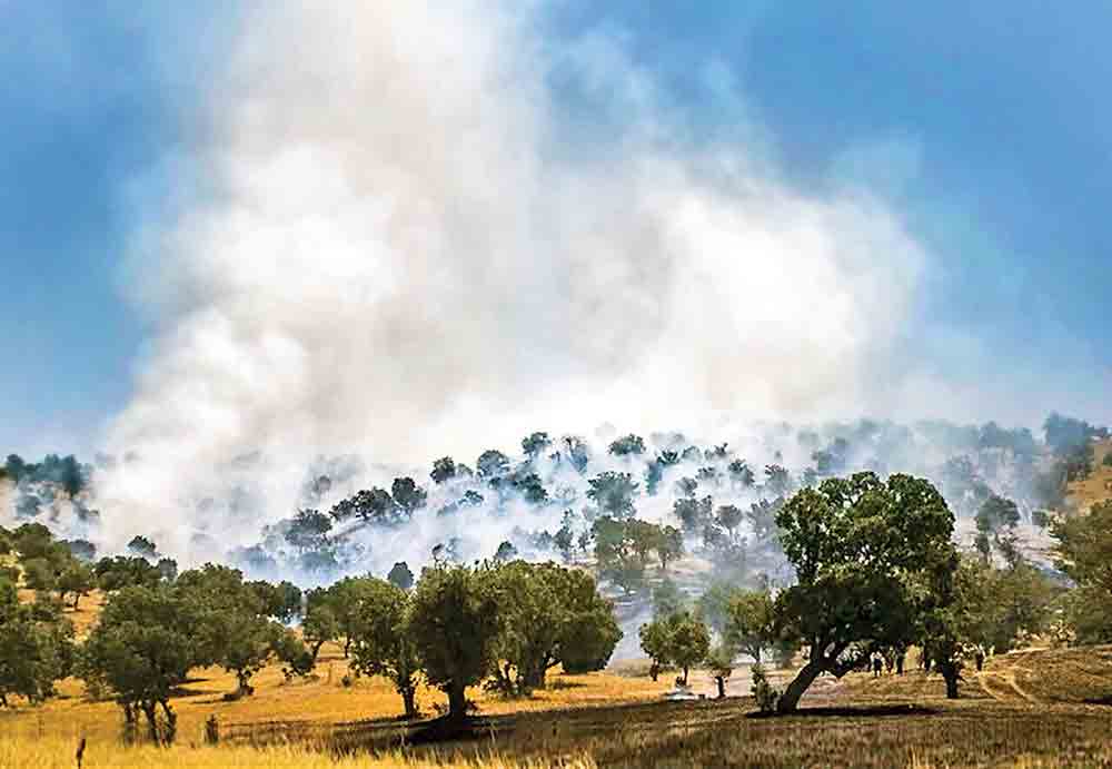 نابودی ۲۵میلیون مترمکعب آب زیرزمینی در آتش زاگرس نابودی ۲۵میلیون مترمکعب آب زیرزمینی در آتش زاگرس