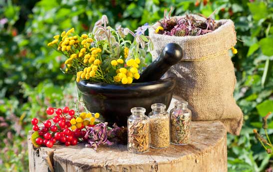 احساس نیاز به طب سنتی برای درمان کرونا احساس نیاز به طب سنتی برای درمان کرونا