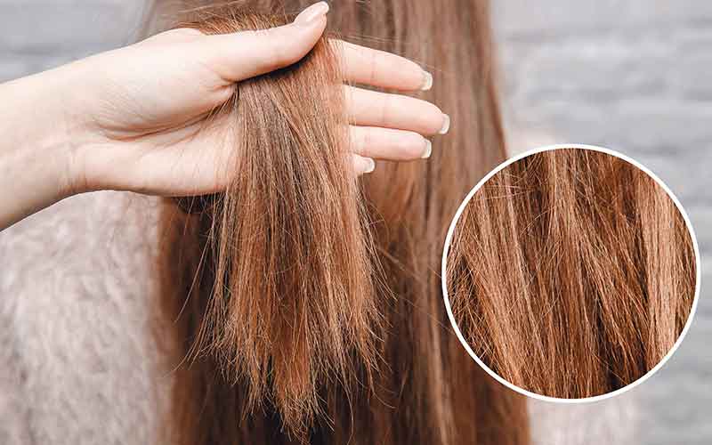 راهکارهای ساده و طلایی برای موهای آسیب دیده راهکارهای ساده و طلایی برای موهای آسیب دیده