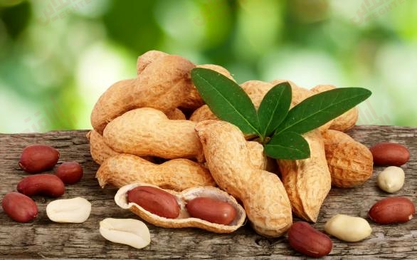 آیا بادام زمینی برای ما مفید است؟ آیا بادام زمینی برای ما مفید است؟
