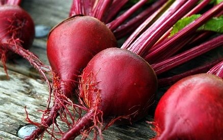قیمت خرید تضمینی چغندر اصلاح می شود قیمت خرید تضمینی چغندر اصلاح می شود