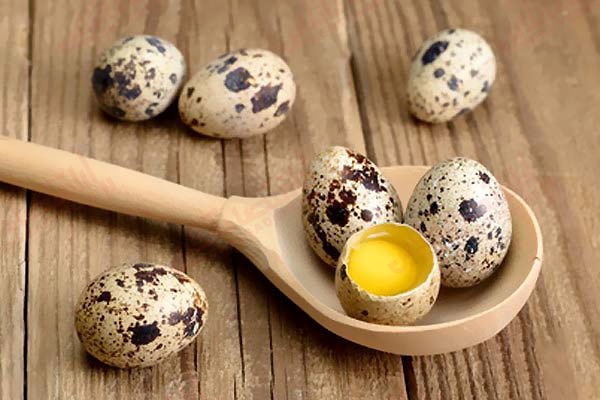 فواید تخم بلدرچین فواید تخم بلدرچین