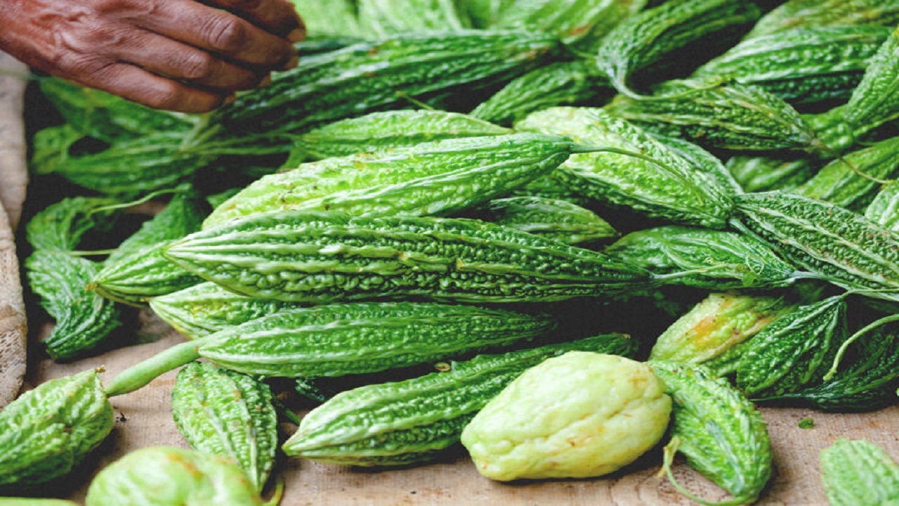 خواص باور نکردنی خربزه تلخ در درمان دیابت خواص باور نکردنی خربزه تلخ در درمان دیابت