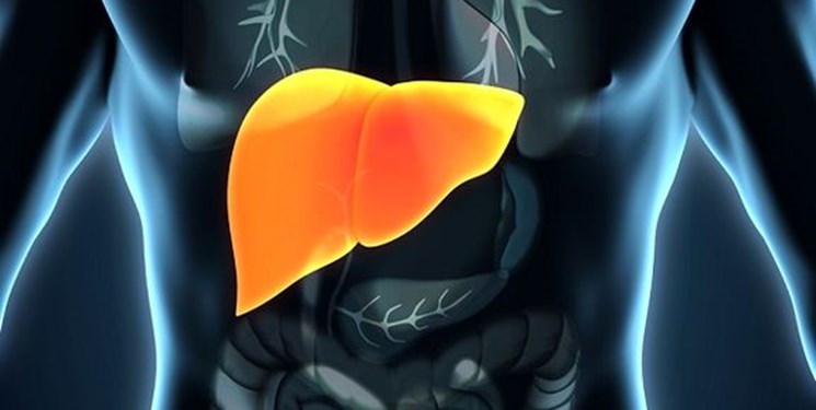 راه حل هایی برای پیشگیری از ابتلا به کبد چرب