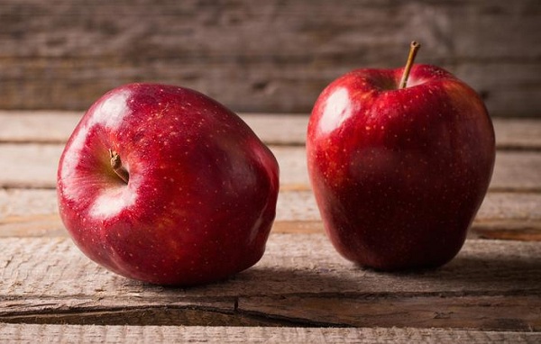 قیمت میوه و صیفی در میادین میوه و تره بار قیمت میوه و صیفی در میادین میوه و تره بار