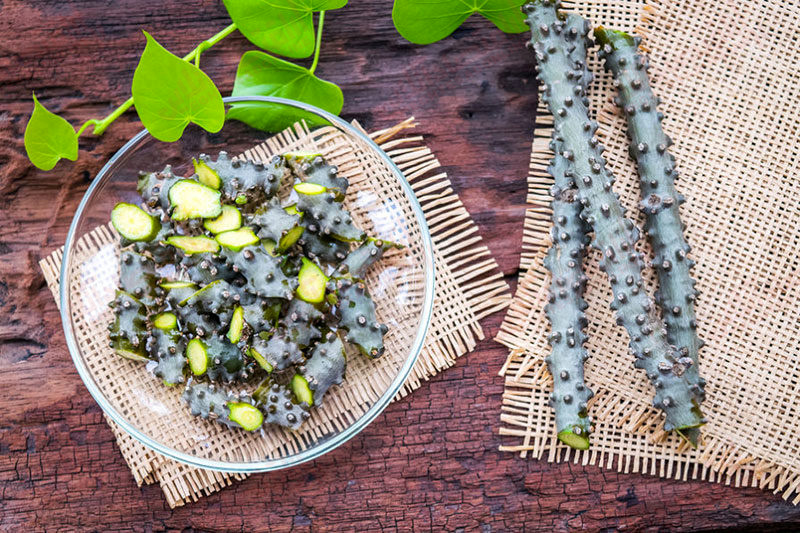 گودوچی چیست؟