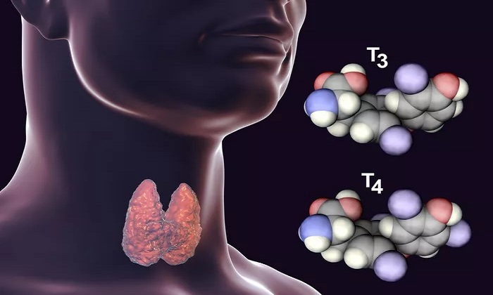 آنچه باید درباره کم کاری تیروئید بدانیم آنچه باید درباره کم کاری تیروئید بدانیم