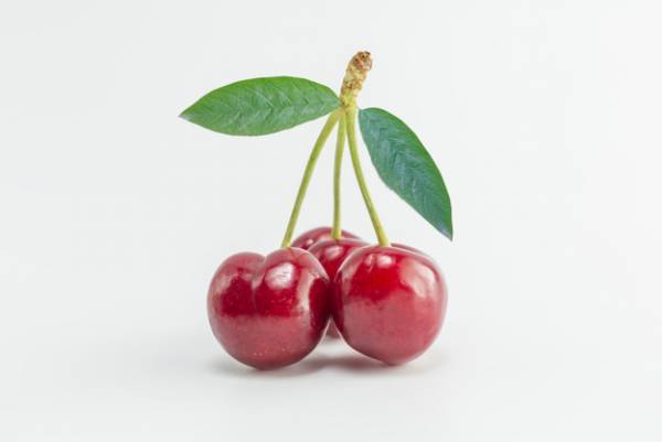 برای سلامت مو از روغن گیلاس استفاده کنید برای سلامت مو از روغن گیلاس استفاده کنید