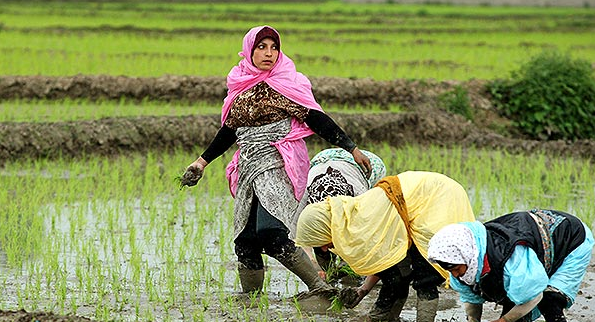 روز جهانی زنان روستایی؛ مجالی برای بازنگری روز جهانی زنان روستایی؛ مجالی برای بازنگری