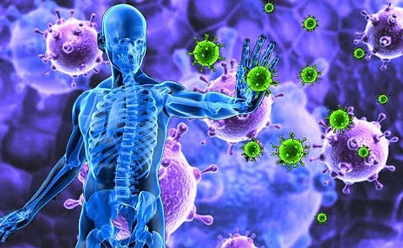 درباره سیستم ایمنی بدن خود چه می دانید؟ درباره سیستم ایمنی بدن خود چه می دانید؟