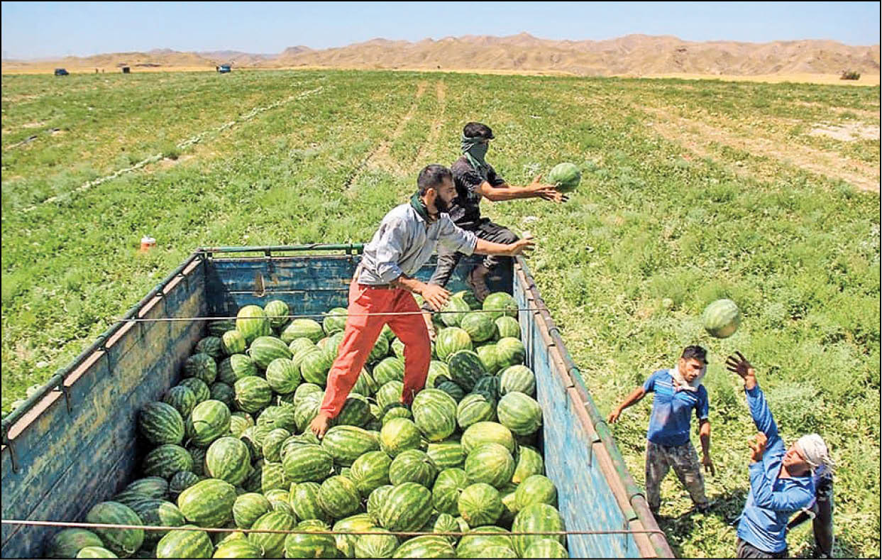 انتقال سطح زیرکشت مناطق کمآب به سایر استانها انتقال سطح زیرکشت مناطق کمآب به سایر استانها
