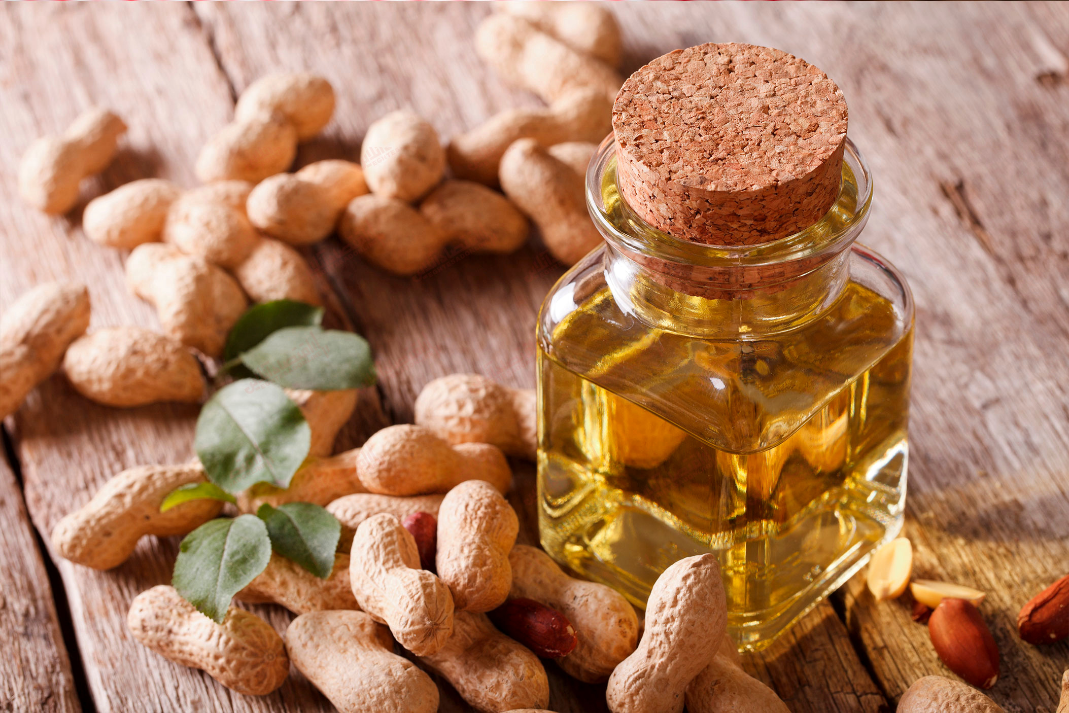 یک حقیقت شگفت‌ انگیز، آیا روغن بادام‌ زمینی، روغنی مفید است؟
