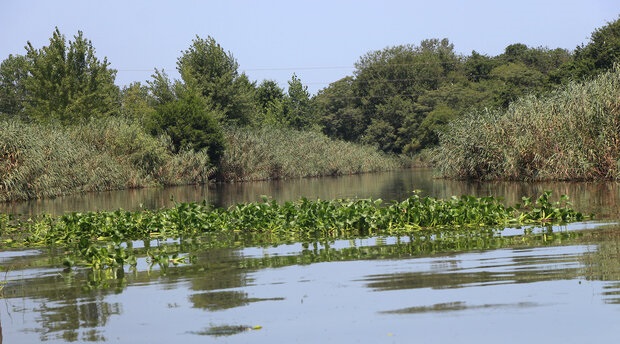 وضعیت تالابهای ایران نامناسب است وضعیت تالابهای ایران نامناسب است