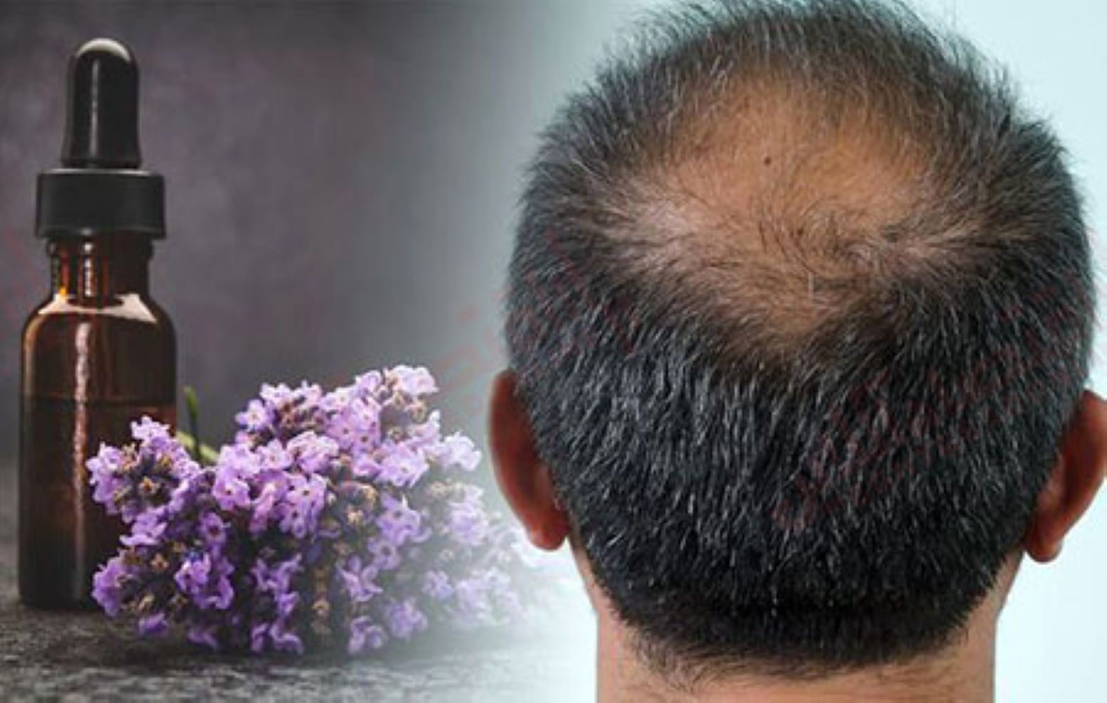 ۵ دلیل استفاده از روغن اسطوخودوس برای موها ۵ دلیل استفاده از روغن اسطوخودوس برای موها