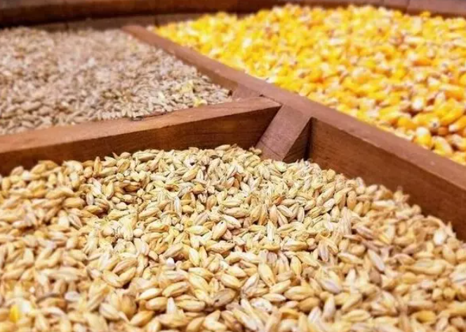 ادامه نابسامانی در بازار نهاده‌ های دامی