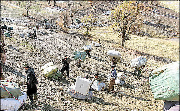 نجات کولبران از مسیر گردشگری