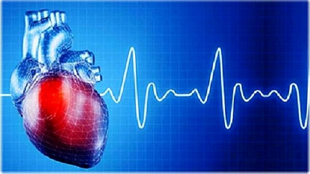 هفت ماده غذایی مفید برای سلامت قلب هفت ماده غذایی مفید برای سلامت قلب