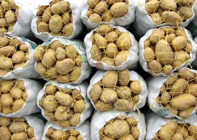 صادرات سیب زمینی به کشورهای همسایه رونق گرفت صادرات سیب زمینی به کشورهای همسایه رونق گرفت