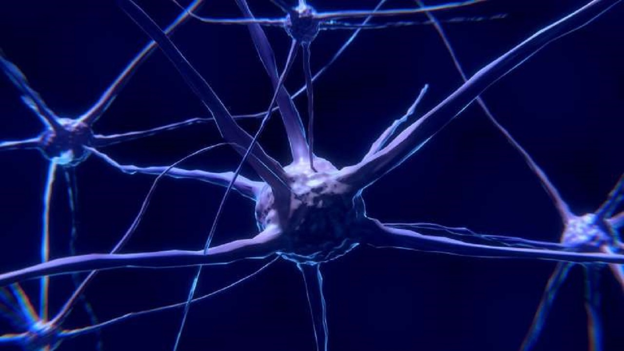 ژنتیک چقدر در ابتلا به آلزایمر نقش دارد؟ ژنتیک چقدر در ابتلا به آلزایمر نقش دارد؟