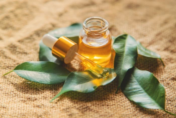 تاثیر روغن های گیاهی بر سکته مغزی تاثیر روغن های گیاهی بر سکته مغزی