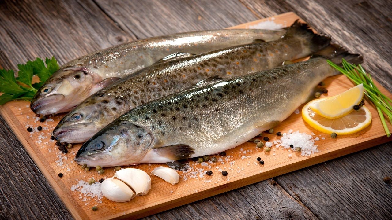 تاثیر مصرف ماهی بر هوشیاری مغز تاثیر مصرف ماهی بر هوشیاری مغز