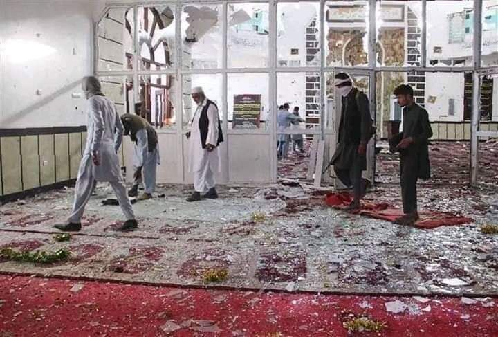 عاملان حمله انتحاری ننگرهار بازداشت شدند عاملان حمله انتحاری ننگرهار بازداشت شدند