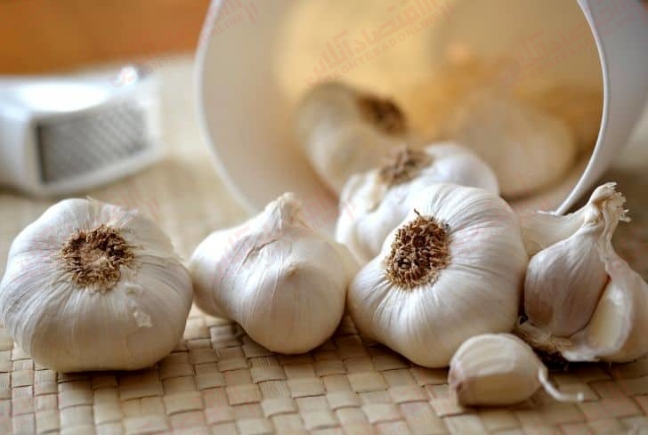فواید سیر و ماست برای شکم فواید سیر و ماست برای شکم
