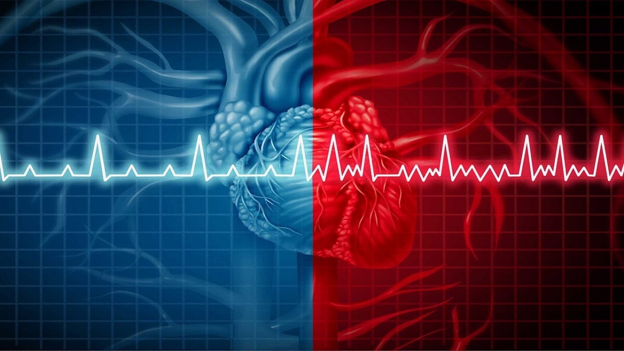 کاهش ابتلا به بیماری قلبی با کمک هوش مصنوعی کاهش ابتلا به بیماری قلبی با کمک هوش مصنوعی