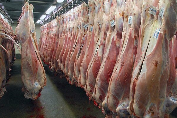 کاهش قیمت گوشت در میادین میوه و تره بار پایتخت کاهش قیمت گوشت در میادین میوه و تره بار پایتخت