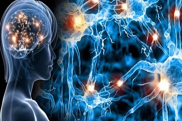 افزایش ریسک بیماری ام اس با این عفونت ویروسی در نوجوانی افزایش ریسک بیماری ام اس با این عفونت ویروسی در نوجوانی