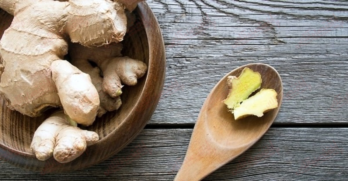 یک گیاه باستانی و شفابخش برای تسکین درد + عکس یک گیاه باستانی و شفابخش برای تسکین درد + عکس
