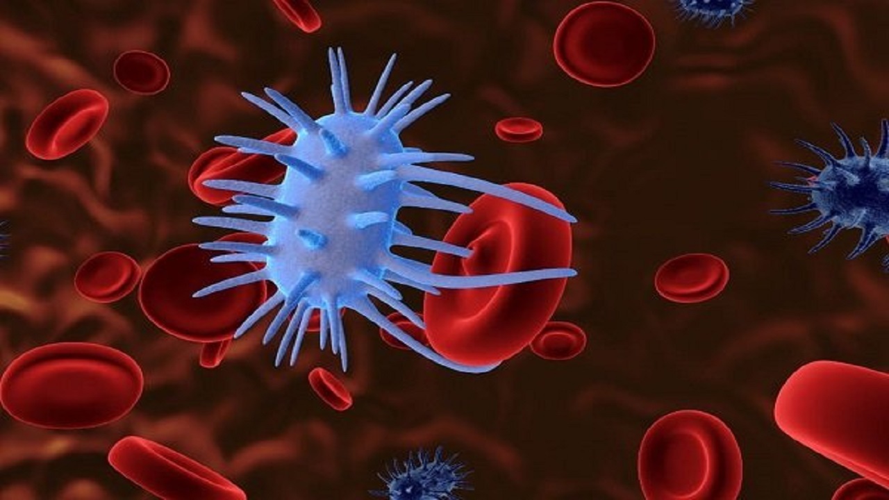 ترمیم زخم و غضروف با کنترل مسیرهای پروتئین در DNA ترمیم زخم و غضروف با کنترل مسیرهای پروتئین در DNA